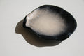 Coupe en céramique vintage de Pol Chambost, modèle 1025, forme libre organique noire et blanche, design français des années 50