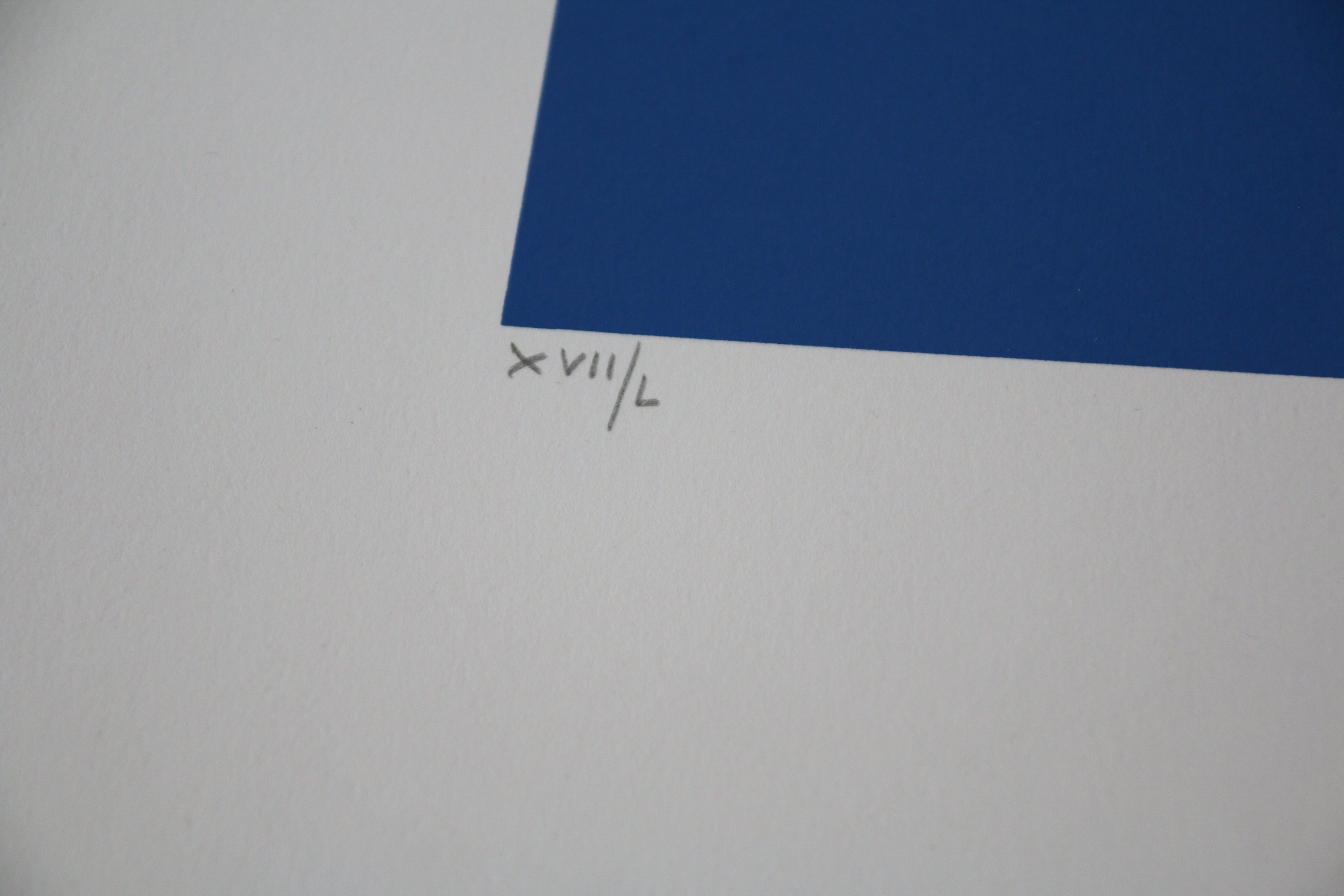 Détail du numéro XVII / L (17/50) inscrit au graphite en bas à gauche par l'artiste.