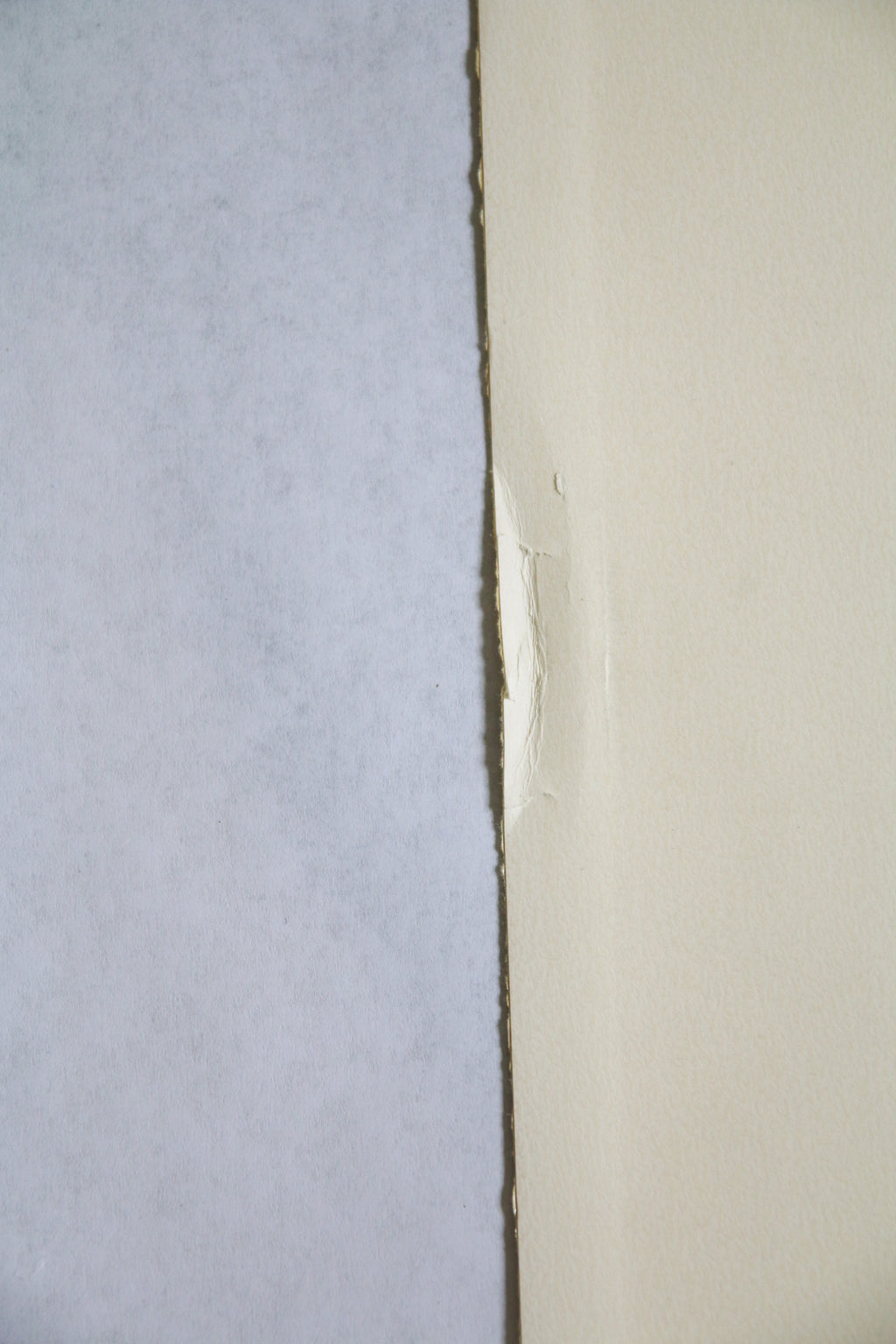 Détail de l'état de la marge gauche montrant un léger pli sur le papier original de 1975
