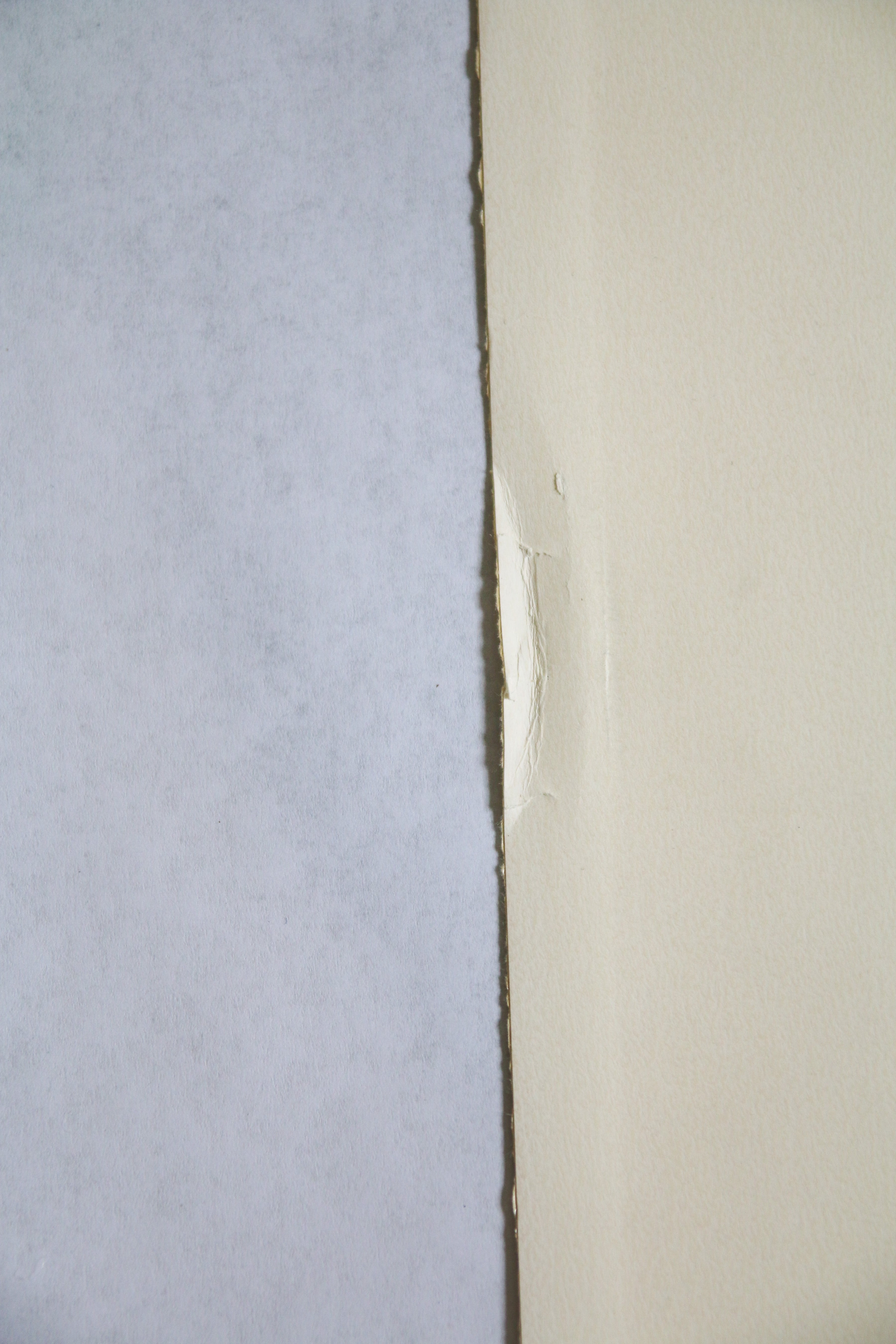 Détail de l'état de la marge gauche montrant un léger pli sur le papier original de 1975