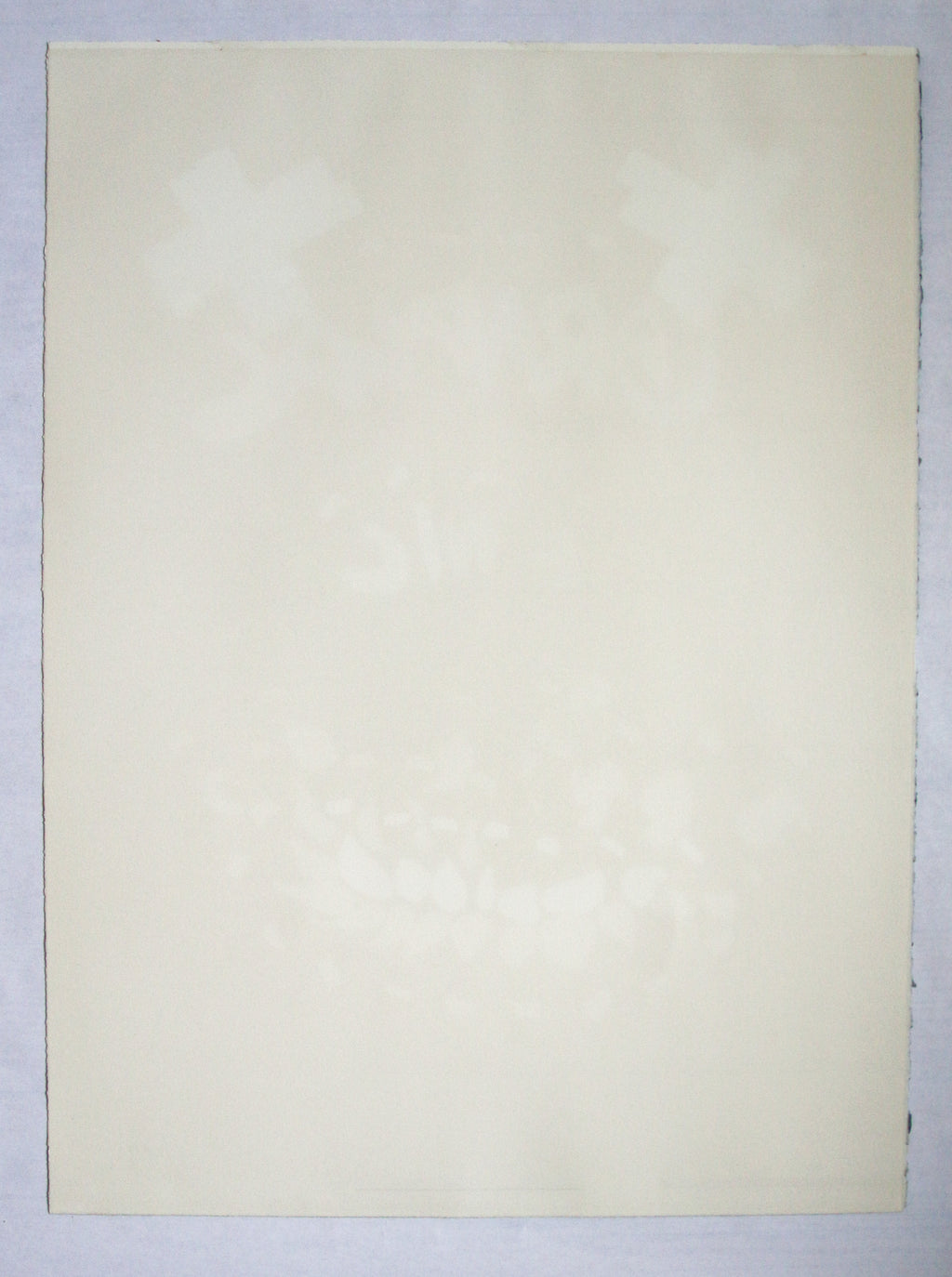 Arman - Carnaval de Nice - lithographie signée et numérotée