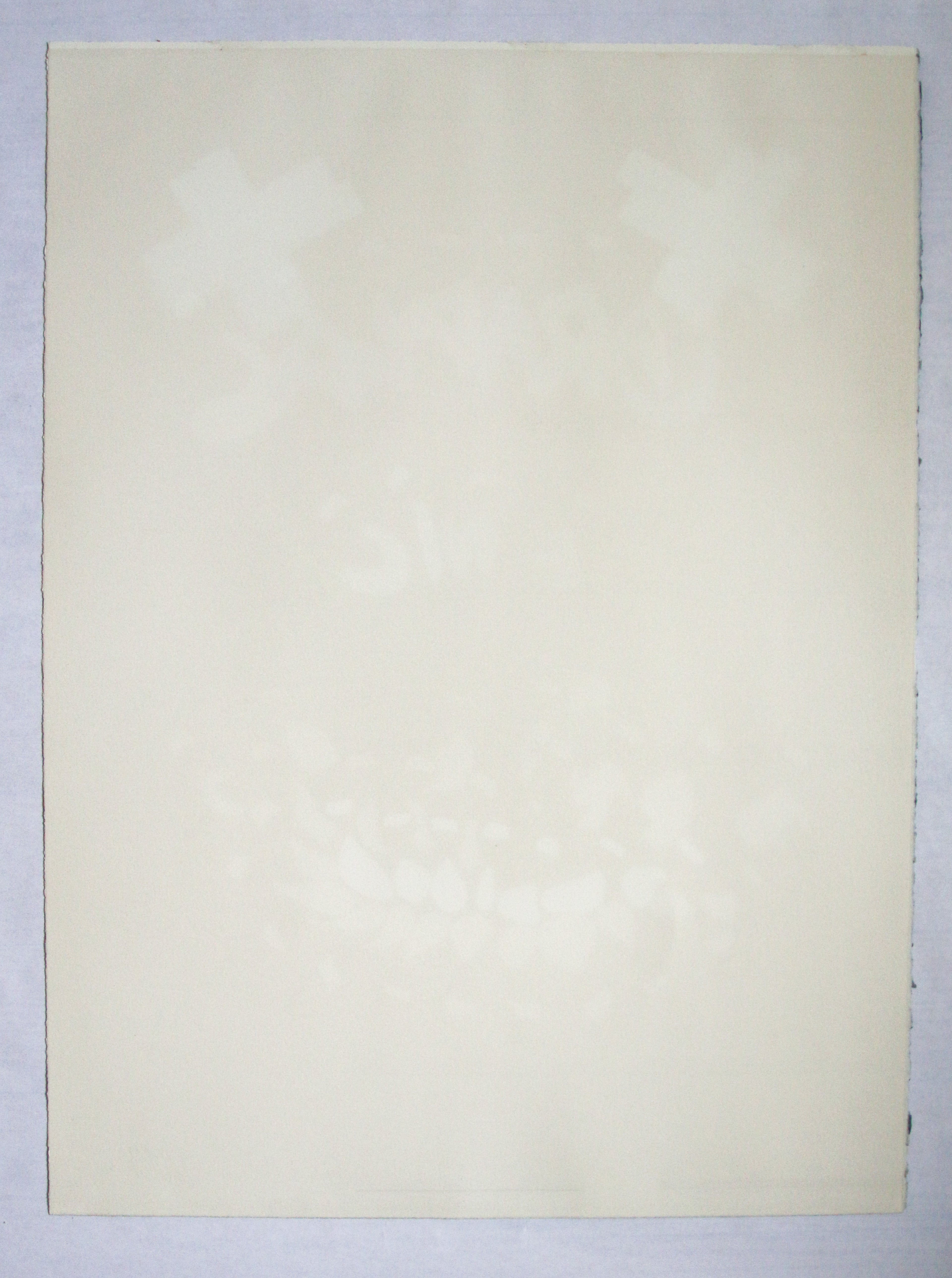 Arman - Carnaval de Nice - lithographie signée et numérotée