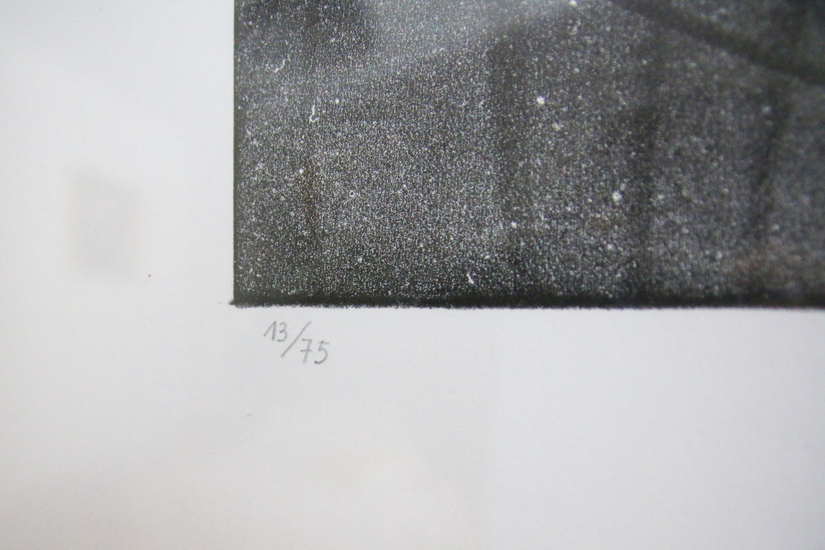 Hans Hartung lithographie justifiée 13/75 